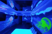 UV graffiti malby na zakázku podmořský svět medůzy