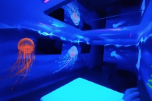 UV Mural Art - Jellyfishes